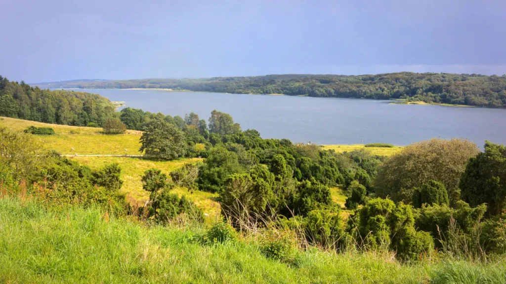 Mariager Fjord med smuk natur